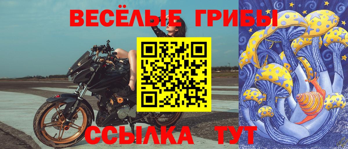 Псилоцибиновые грибы прущие грибы Елец