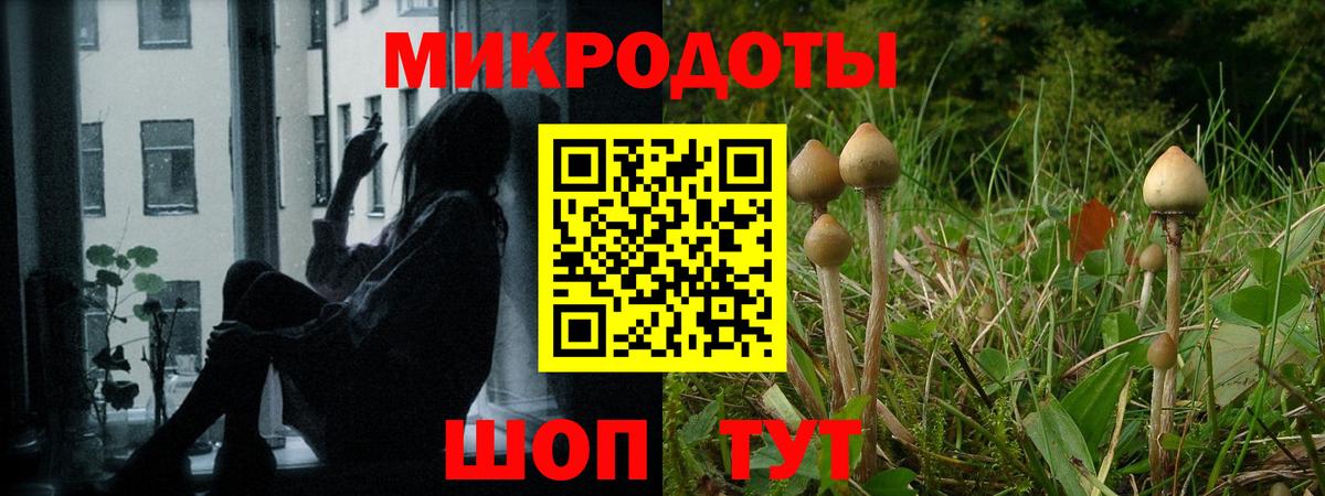Галлюциногенные грибы Cubensis  где купить   Елец  Вход с VPN 